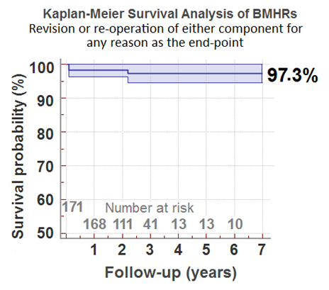 Predicted survivorship in Mr McMinn's 171 Birmingham Mid Head Resections. No patients were omitted from this cohort.